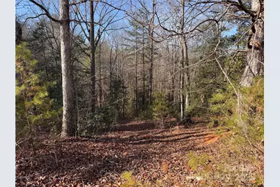 00 Virginia Ridge #57, Connelly Springs, NC 28612 - Photo 10