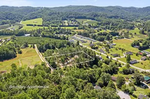 102 Kiwassa Ln, Hendersonville, NC 28792 - Photo 32