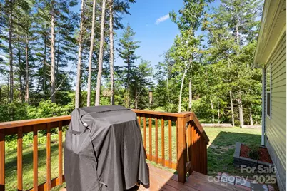 102 Kiwassa Lane, Hendersonville, NC 28792 - Photo 28