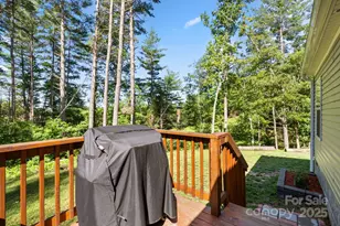 102 Kiwassa Ln, Hendersonville, NC 28792 - Photo 28