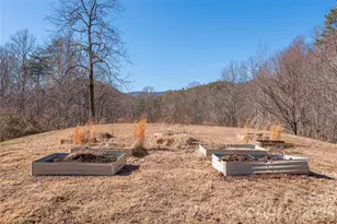 393 Carver Mountain Valley, Sylva, NC 28779 - Photo 34