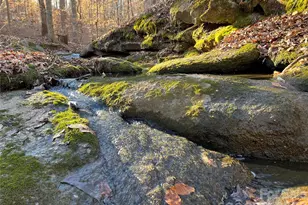 1560 Shinnville Rd, Cleveland, NC 27013 - Photo 38