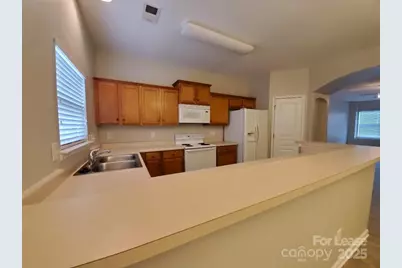 12676 Persimmon Tree Drive, Charlotte, NC 28273 - Photo 4