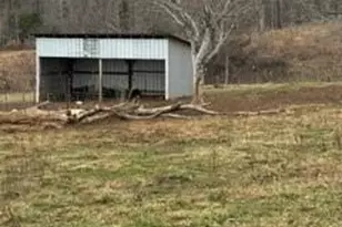 2417 Salem Church Rd, Ellenboro, NC 28040 - Photo 10