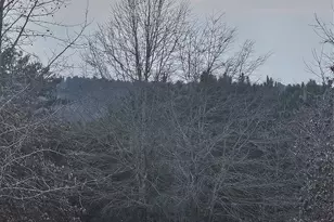 11249 Island View Ln, Lancaster, SC 29720 - Photo 40