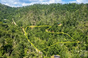 1010 and 1014 Melton Branch Rd, Bakersville, NC 28705 - Photo 44