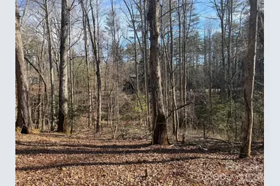 Lot 52 High Hemlock Trail #52, Brevard, NC 28712 - Photo 4