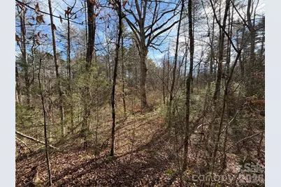 Lot 52 High Hemlock Trail #52, Brevard, NC 28712 - Photo 8