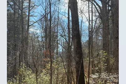 Lot 52 High Hemlock Trail #52, Brevard, NC 28712 - Photo 10