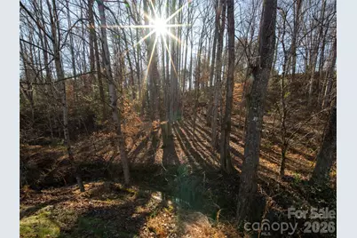 123 Orvis Stone Circle, Candler, NC 28715 - Photo 30