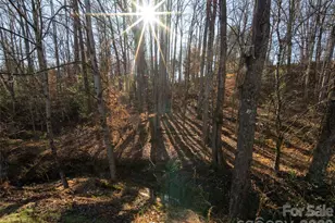 123 Orvis Stone Cir, Biltmore Lake, NC 28715 - Photo 30