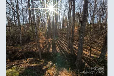 123 Orvis Stone Circle, Biltmore Lake, NC 28715 - Photo 30