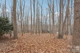 11655 Terrill Ridge Dr, Davidson, NC 28036 - Photo 36