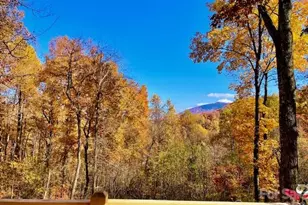 771 Sally Gap Rd, Old Fort, NC 28762 - Photo 42