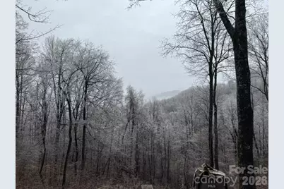 771 Sally Gap Road, Old Fort, NC 28762 - Photo 40