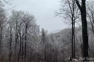 771 Sally Gap Rd, Old Fort, NC 28762 - Photo 40