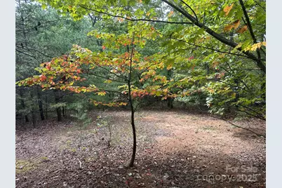 333 Mossy Oak Trail #164, Nebo, NC 28761 - Photo 1