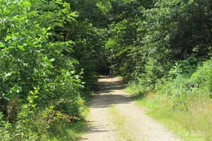 99999 Owen Valley Trail, Black Mountain, NC 28711 - Photo 1