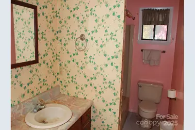 709 Wickins Drive, Hendersonville, NC 28791 - Photo 18