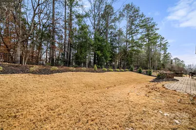 245 Sweet Briar Drive, Indian Land, SC 29707 - Photo 38