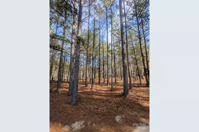 482 Pine Road, Jefferson, SC 29718 - Photo 1