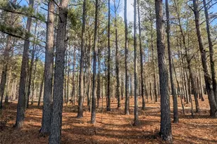 482 Pine Rd, Jefferson, SC 29718 - Photo 1