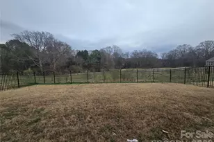 139 Pampas Pl, Statesville, NC 28625 - Photo 36