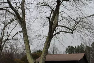 105 Park St, Columbus, NC 28722 - Photo 2