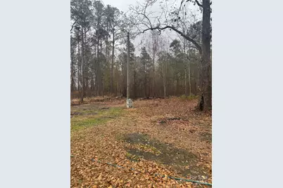 3633 Sandy Flat Road, Society Hill, SC 29593 - Photo 22