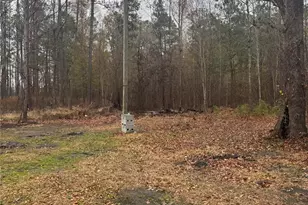 3633 Sandy Flat Rd, Society Hill, SC 29593 - Photo 22