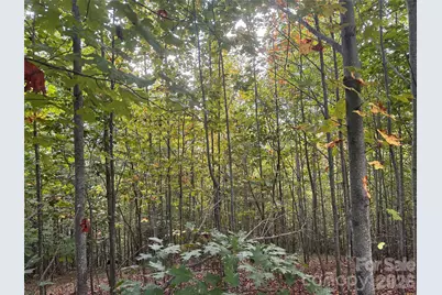 311 Scenic Vista Drive #254, Nebo, NC 28761 - Photo 4