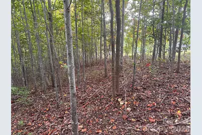 311 Scenic Vista Drive #254, Nebo, NC 28761 - Photo 1