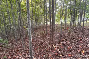 311 Scenic Vista Dr, Nebo, NC 28761 - Photo 1