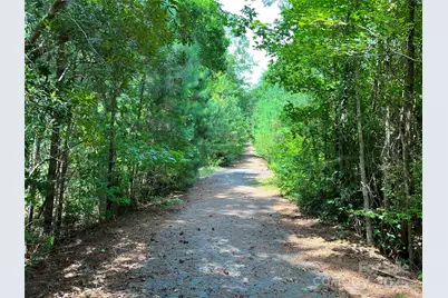 Lot 7 & 8 Sc Hwy 215 South, Jenkinsville, SC 29065 - Photo 10