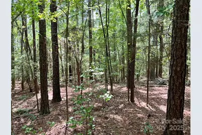 Lot 7 & 8 Sc Hwy 215 South, Jenkinsville, SC 29065 - Photo 12