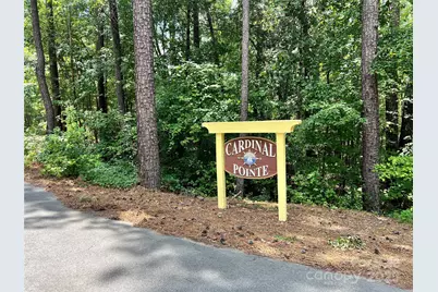 Lot 7 & 8 Sc Hwy 215 South, Jenkinsville, SC 29065 - Photo 8