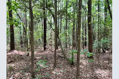 Lot 7 & 8 Sc Hwy 215 South, Jenkinsville, SC 29065 - Photo 14