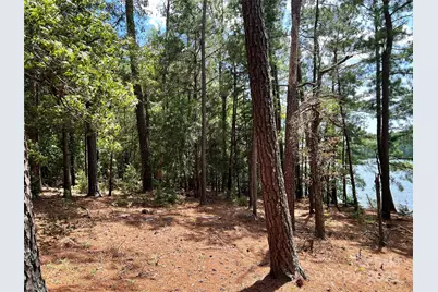 Lot 7 & 8 Sc Hwy 215 South, Jenkinsville, SC 29065 - Photo 22