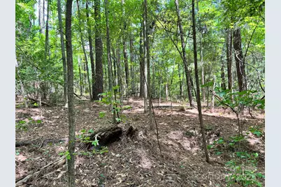 Lot 7 & 8 Sc Hwy 215 South, Jenkinsville, SC 29065 - Photo 16