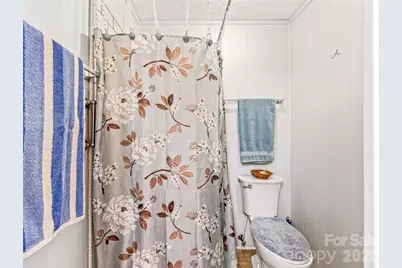 29 Tall Oaks Road, Candler, NC 28715 - Photo 16