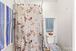 29 Tall Oaks Rd, Candler, NC 28715 - Photo 16