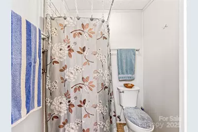 29 Tall Oaks Road, Candler, NC 28715 - Photo 16