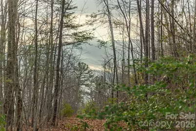 0000 Tsali Crossing N #25, Bryson City, NC 28713 - Photo 16