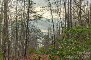 0000 Tsali Crossing N, Bryson City, NC 28713 - Photo 16