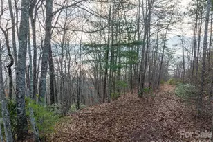 0000 Tsali Crossing N, Bryson City, NC 28713 - Photo 12