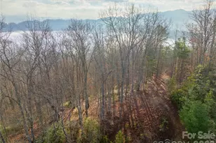 0000 Tsali Crossing N, Bryson City, NC 28713 - Photo 2