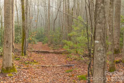 0000 Tsali Crossing N #25, Bryson City, NC 28713 - Photo 30
