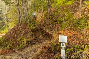 0000 Tsali Crossing N, Bryson City, NC 28713 - Photo 32