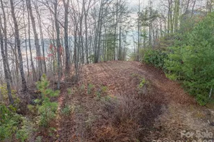 0000 Tsali Crossing N, Bryson City, NC 28713 - Photo 10