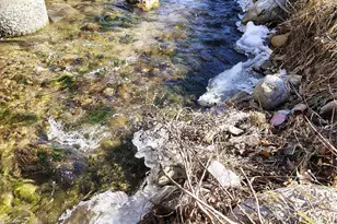 166 Old Helton School Rd, Lansing, NC 28643 - Photo 24